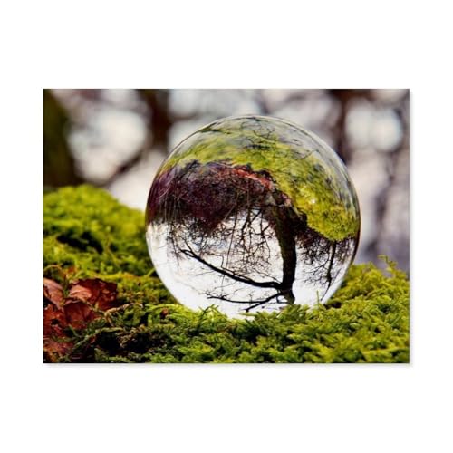 Puzzle，Wunderbare Waldkugeln，Für Kinder Und Erwachsene Holz Personalisiertes Puzzle-Spaß-Spiel 1000pcs（75x50cm）-AH94 von GSBRSNTS