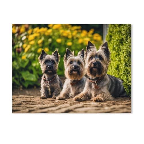 Puzzle 1000 Stück，Cairn Terrier，Holz Kinderspielzeug Dekompression Spiel（75x50cm）-AA44 von GSBRSNTS