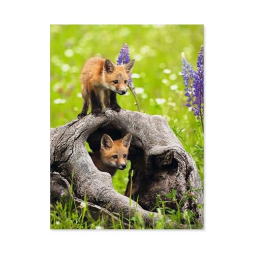 Puzzle 1000 Stück，Füchse，Papier Kinderspielzeug Dekompression Spiel（38x26cm）-A77 von GSBRSNTS