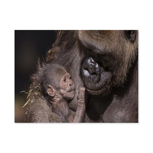 Puzzle 1000 Stück，Gorilla，Papier Kinderspielzeug Dekompression Spiel（38x26cm）-F15 von GSBRSNTS