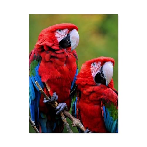 Puzzle 1000 Stück，Grünflügelara Pärchen，Papier Kinderspielzeug Dekompression Spiel（38x26cm）-AG28 von GSBRSNTS