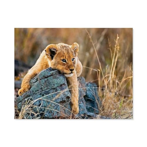 Puzzle 1000 Stück，Kleiner Löwe，Holz Adult Toys Dekompression Spiel（75x50cm）-A83 von GSBRSNTS
