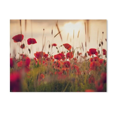 Puzzle 1000 Stück，Mohnblumen im Abendlicht，Papier Adult Toys Dekompression Spiel（38x26cm）-Z1 von GSBRSNTS