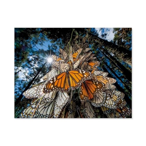 Puzzle 1000 Stück，Monarch Butterflies，Holz Kinderspielzeug Dekompression Spiel（75x50cm）-C96 von GSBRSNTS