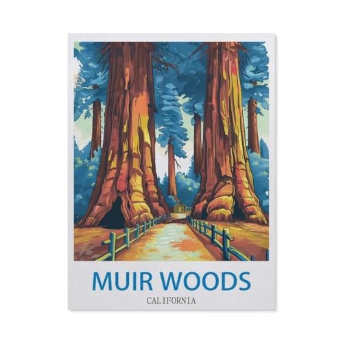 Puzzle 1000 Stück，Muir Woods, Kalifornien，Für Holz Erwachsene Spielzeug Dekompression Spiel（75x50cm）-O9 von GSBRSNTS