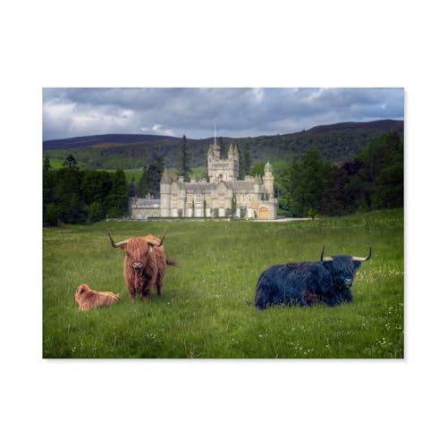 Puzzle 1000 Stück，Schloss Balmoral，Papier Adult Toys Dekompression Spiel（50x70cm）-AH10 von GSBRSNTS