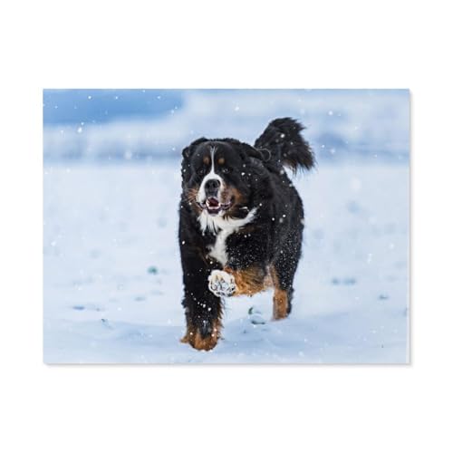 Puzzle 1000 Teile，Berner Sennenhund im Schnee，Papier Kinder Wiedergeboren Dekompressionsspiel（38x26cm）-AH93 von GSBRSNTS