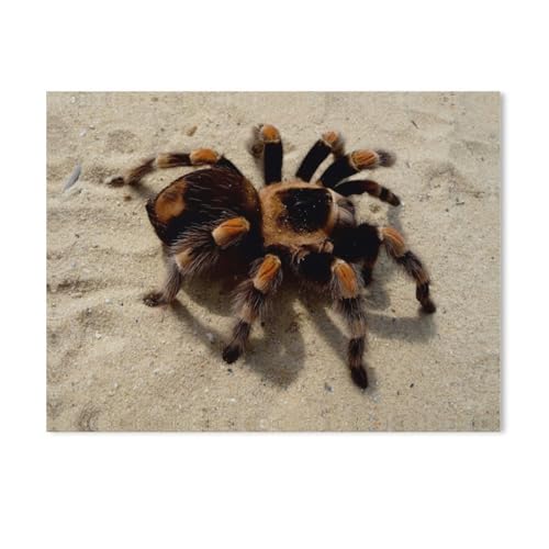 Puzzle 1000 Teile，Mexikanische Vogelspinne，Holz Kinder Wiedergeboren Dekompressionsspiel（75x50cm）-AC79 von GSBRSNTS