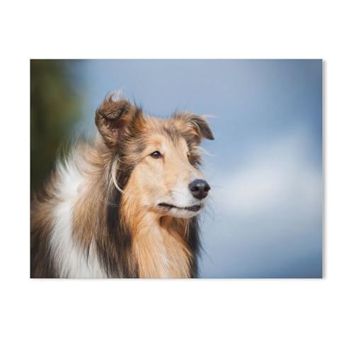 Puzzle 1000 Teile Papier，Collie, süßer Hund，Dekompression Der Erwachsenen，Kinderpuzzle Spiele Ab 8 Jahren, Spielzeug Für Mädchen Jungen Teenager（38x26cm）-H4 von GSBRSNTS