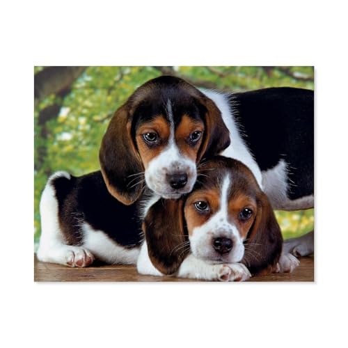 Puzzle 1000 Teile für Erwachsene，Close Together，Klassische Puzzle Teenager Jungen Mädchen Puzzle DIY Moderne Wohnkultur Einzigartiges Geschenk Intellektuelles Spiel（38x26cm）-C71 von GSBRSNTS