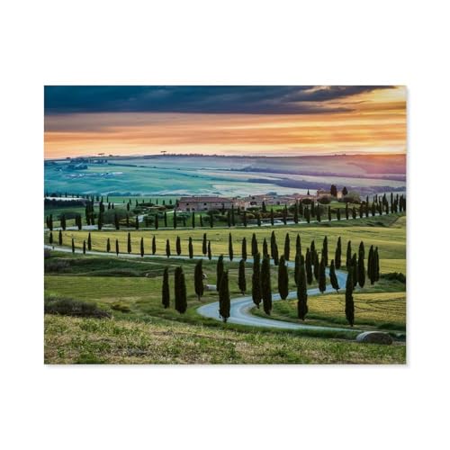 Puzzle 1000 Teile für Erwachsene，Orciatal, Toskana，Klassische Puzzle Teenager Jungen Mädchen Puzzle DIY Moderne Wohnkultur Einzigartiges Geschenk Intellektuelles Spiel（38x26cm）-A49 von GSBRSNTS