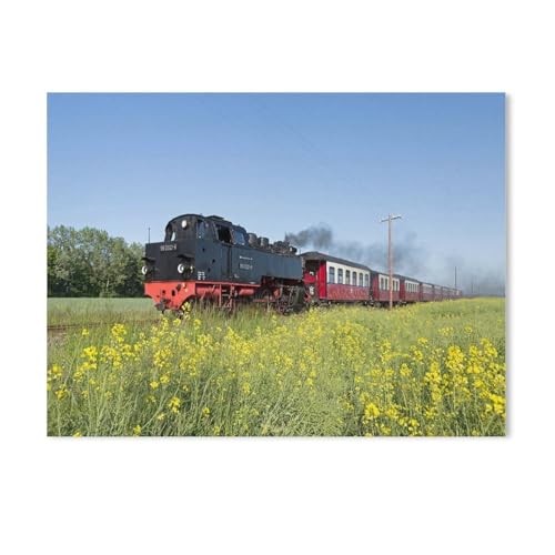 Puzzle für Erwachsene 1000, Dampfbügeleisenbahnen in Deutschland, 1000-teiliges Puzzle, lustige Familienspiele, Entspannungs- und Meditationsunterhaltung (50 x 70 cm) - AF19 von GSBRSNTS