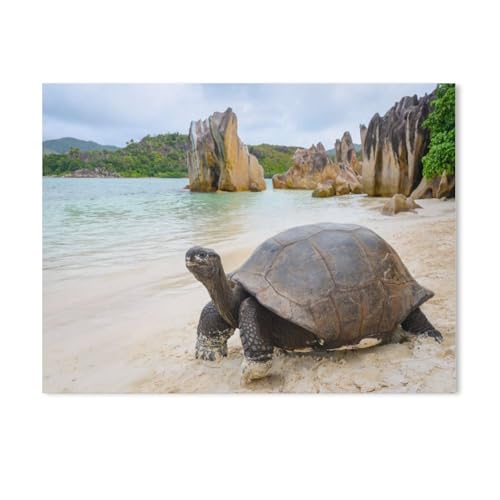 Puzzles 1000 Stück Holz Montage Bild，Aldabra-Riesenschildkröte auf Curieuse，Erwachsene Spiele Lernspielzeug（75x50cm）-Z71 von GSBRSNTS