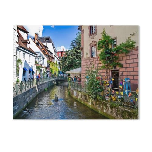 Puzzles 1000 Stück Holz Montage Bild，Freiburger Altstadt mit Bächle，Filmplakat Für Erwachsene Spiele Lernspielzeug（75x50cm）-AF60 von GSBRSNTS
