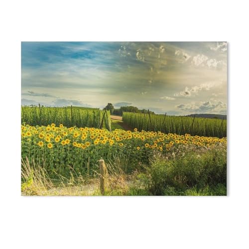 Puzzles 1000 Stück Holz Montage Bild，Hallertau genannt, zwischen Wolnzach und Geisenhausen，Filmplakat Für Erwachsene Spiele Lernspielzeug（75x50cm）-AB22 von GSBRSNTS