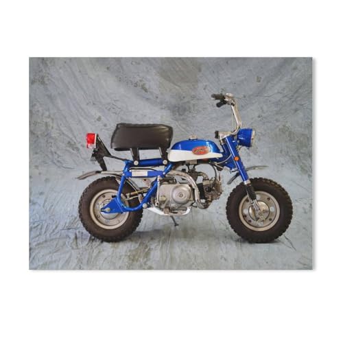 Puzzles 1000 Stück Holz Montage Bild，Motorrad，Erwachsene Spiele Lernspielzeug（75x50cm）-AE85 von GSBRSNTS