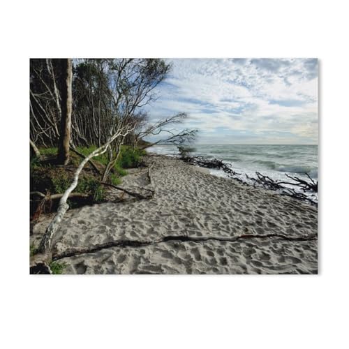Puzzles 1000 Stück Holz Montage Bild，Naturschauspiel Darßer Weststrand，Erwachsene Spiele Lernspielzeug（75x50cm）-AF58 von GSBRSNTS