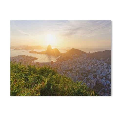 Puzzles 1000 Stück Holz Montage Bild，Rio de Janeiro，Filmplakat Für Erwachsene Spiele Lernspielzeug（75x50cm）-Y100 von GSBRSNTS