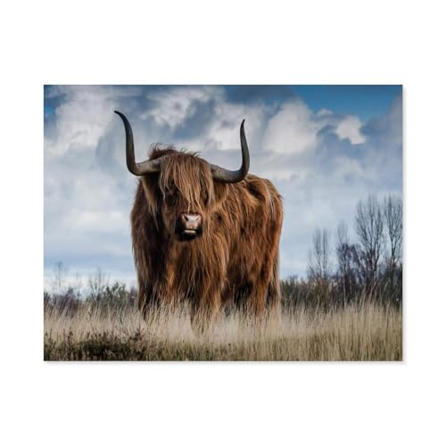 Schottisches Hochlandrind，Puzzles 1000 Teile für Erwachsene, Klassische Puzzle Kinder Puzzle Herausfordernde Und Schwierige Rätsel für Erwachsene Und Jugendliche（38x26cm）-C6 von GSBRSNTS
