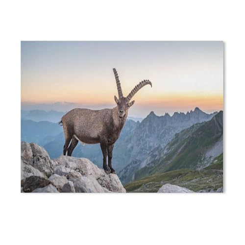 Steinbock im Alpstein，Puzzles für Erwachsene 1000 Teile, Klassische Puzzle Puzzle Schwierig für Erwachsene Teenager Freizeit Spaß Spiel Spielzeug （75x50cm）-Y75 von GSBRSNTS