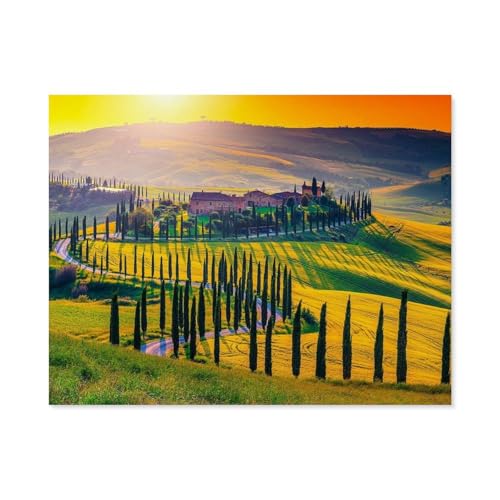 Toskana，Papier Puzzle 1000 Teile Spielzeug Für Erwachsene Dekompressionsspiel（38x26cm）-E29 von GSBRSNTS