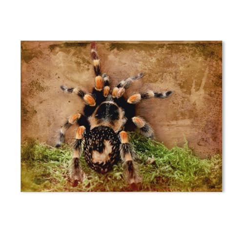 Vogelspinne，Puzzles, 1000-teiliges Puzzle Für Erwachsene Und Kinder Ab 10 Jahren（75x50cm）-AB72 von GSBRSNTS