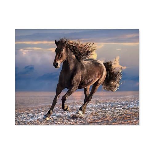 Wildpferd，Puzzles 1000 Teile für Erwachsene, Klassische Puzzle Teenager Puzzle Perfektes Pädagogisches Geschenk für Jungen Und Mädchen（50x70cm）-C80 von GSBRSNTS