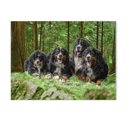 klassisches Puzzle 1000 Stück，Berner Sennenhund，Einzigartige Heimdekorationen Und Geschenke（75x50cm）-Z87 von GSBRSNTS