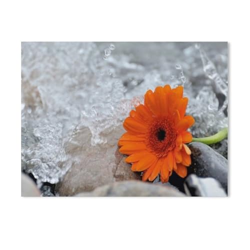 klassisches Puzzle 1000 Stück，Natur - im Detail，Einzigartige Heimdekorationen Und Geschenke（38x26cm）-AF74 von GSBRSNTS