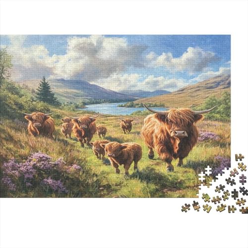 Hochlandrinder Puzzlespiel 1000 Teile Jigsaw Puzzle 1000 Puzzle FüR Erwachsene Kinder Senioren Erwachsenen Puzzlespiel Puzzel 1000pcs (75x50cm) von GTDKSUEVG
