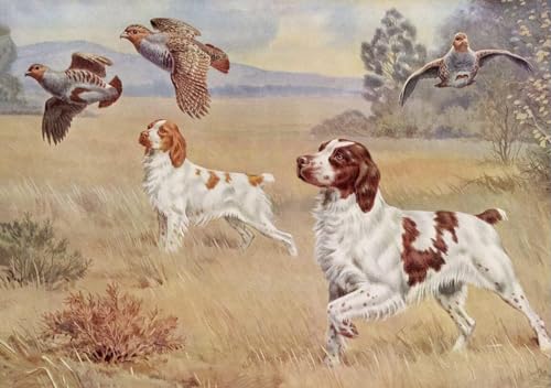 Puzzle für Erwachsene, 500 Teile, Brittany Spaniel, Hund, zwei Hunde, Schulbedarf, Herausforderungspuzzle, pädagogisches Spielzeug, Holzpuzzle, Zubehör Puzzle für Erwachsene, 500 Teile, Brittany Spaniel, Hund, zwei Hunde, Schulbedarf, Herausforderungspuzzle, pädagogisches Spielzeug, Holzpuzzle, Zubehör von GUICCW