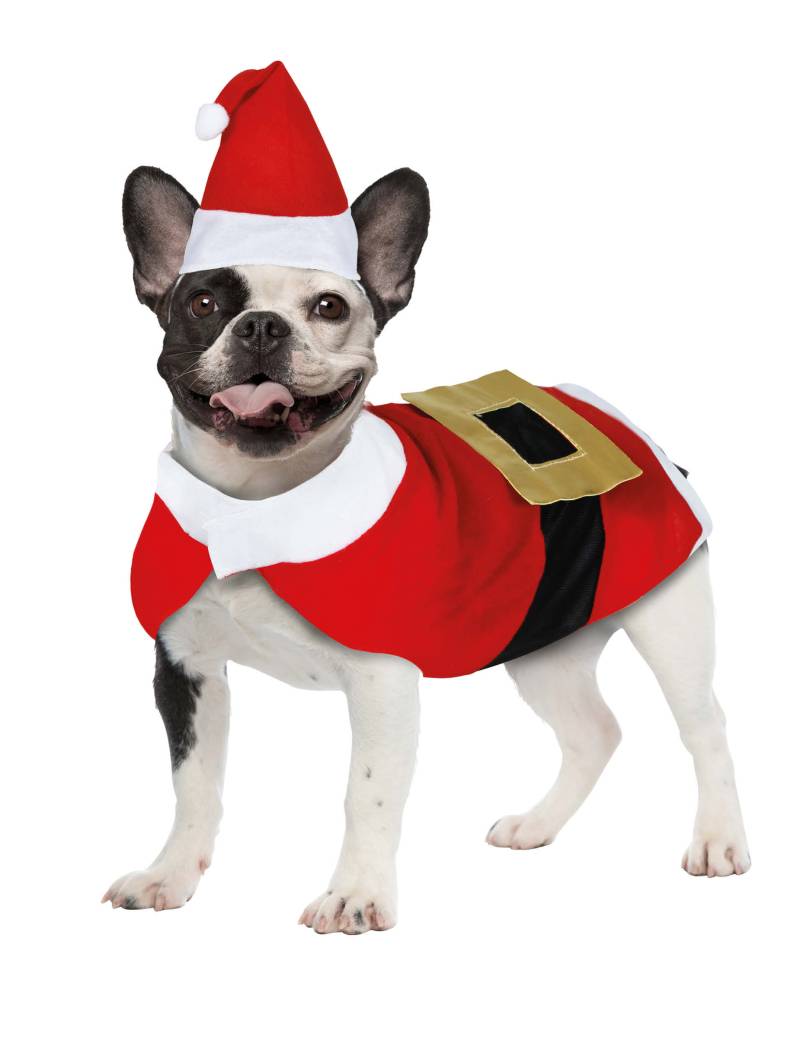 Weihnachts Kostüm für Hund kleiner Weihnachtsmann Outfit von GUIRMA