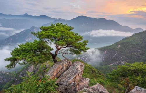 GUOHLOZ 1000 Teile, Premium Quality, für Erwachsene und Kinder ab 6 Jahren Puzzle, Landschaft, Berge, Baum, Felsen, Wälder, Südkorea, 75x50cm GUOHLOZ 1000 Teile, Premium Quality, für Erwachsene und Kinder ab 6 Jahren Puzzle, Landschaft, Berge, Baum, Felsen, Wälder, Südkorea, 75x50cm von GUOHLOZ