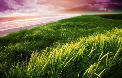 GUOHLOZ 1500 Teile Puzzle für Erwachsene Puzzles 1500 für Erwachsene Lernspiel Herausforderung Puzzle für Erwachsene Kinder 1500 Teile,Strand,Himmel,Gras,Natur,Ufer,Landschaften,87x57cm GUOHLOZ 1500 Teile Puzzle für Erwachsene Puzzles 1500 für Erwachsene Lernspiel Herausforderung Puzzle für Erwachsene Kinder 1500 Teile,Strand,Himmel,Gras,Natur,Ufer,Landschaften,87x57cm von GUOHLOZ