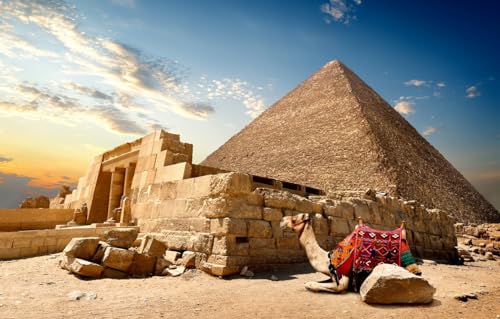 GUOHLOZ 1500-teilige Puzzles für Erwachsene,große herausfordernde Mini-Puzzle,schwierige Puzzles 1500 Teile,Geschenk für Geburtstag Heimdekoration, Wüste, Kamel, Pyramide, Ägypten, 87x57cm GUOHLOZ 1500-teilige Puzzles für Erwachsene,große herausfordernde Mini-Puzzle,schwierige Puzzles 1500 Teile,Geschenk für Geburtstag Heimdekoration, Wüste, Kamel, Pyramide, Ägypten, 87x57cm von GUOHLOZ