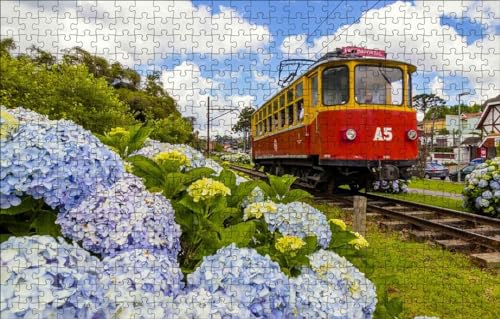 GUOHLOZ Puzzle 1000 Teile Puzzle für Erwachsene und Kinder ab 6 Jahren Puzzle für Wohnkultur, Straßenbahn, Brasilien, Hortensie, 75x50cm von GUOHLOZ