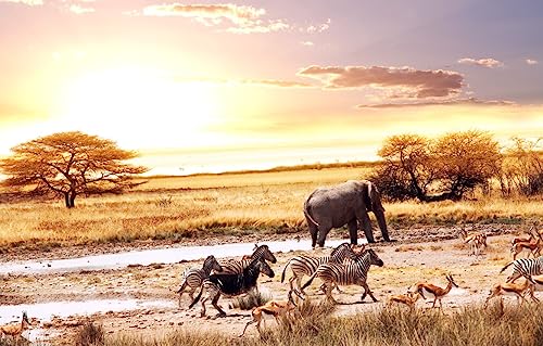 GUOHLOZ Puzzle 1500 Teile Erwachsene Klassisches Jigsaw Puzzle 1500 Teile, Bäume, Landschaft, Elefant, Savanne, Afrika, Tiere, Antilope, Zebras, 87x57cm GUOHLOZ Puzzle 1500 Teile Erwachsene Klassisches Jigsaw Puzzle 1500 Teile, Bäume, Landschaft, Elefant, Savanne, Afrika, Tiere, Antilope, Zebras, 87x57cm von GUOHLOZ