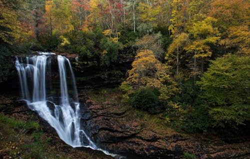 GUOHLOZ Puzzle 1500 Teile ab 9 Jahren, Erwachsenenpuzzle mit Panoramabild, Geschicklichkeitsspiel für die ganze Familie, ideal als Wandbild, Wald, Wasserfall, 87x57cm von GUOHLOZ