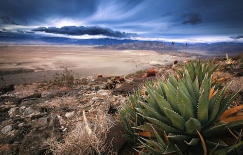 GUOHLOZ Puzzle 500 Teile - Puzzle für Erwachsene und Kinder ab 6 Jahren, Puzzle mit Landschafts-Motiv, Wüste, Anza-Borrego, Dry Lake, Gebirge, Südkalifornien, 52x38cm von GUOHLOZ