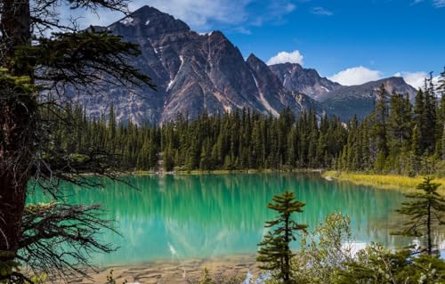 GUOHLOZ Puzzles für Erwachsene 1500 Teile Puzzles für Erwachsene Lernspiel Herausforderung 1500 Teile Holzpuzzles für Erwachsene Kinder,Kanada, Alberta,Rocky Mountains, Lake Cavell, 87x57cm GUOHLOZ Puzzles für Erwachsene 1500 Teile Puzzles für Erwachsene Lernspiel Herausforderung 1500 Teile Holzpuzzles für Erwachsene Kinder,Kanada, Alberta,Rocky Mountains, Lake Cavell, 87x57cm von GUOHLOZ