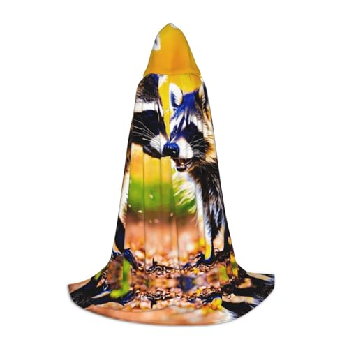 GUOLGP Süßer Waschbär-Druck, Halloween-Kapuzenumhang, für Herren, Damen, Teenager, Zauberer, Robe für Weihnachten, Kostüm, Karneval von GUOLGP