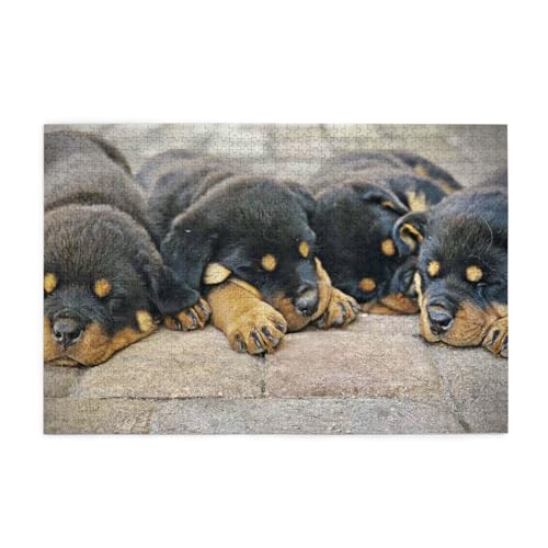 Rottweiler Schlafende Hunde Haustiere Welpen Klein, Puzzles 1000 Teile Holzpuzzle Spielzeug Familienspiel Wanddekoration von GVCXCSGE