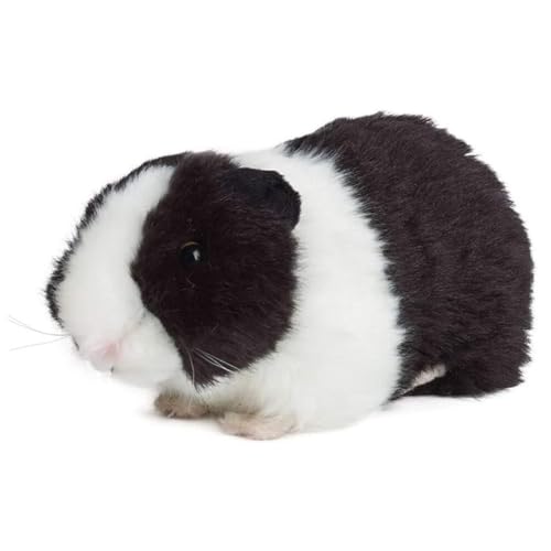 GVMJHYK Meerschweinchen Kuscheltier - Realistische Hamster Plüschtiere Spielzeug, Weich Kuscheltiere Puppe Spielzeug Dekor für Jungen Mädchen Partybedarf Geburtstagsgeschenk Schwarz und weiß von GVMJHYK