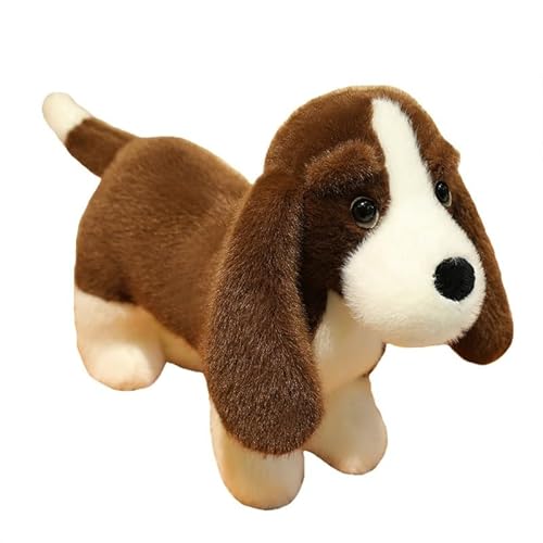 GVMJHYK Plüschtier Dackel, Kuscheltier Hund Dackel, Klasse Dackel Hund Plüschpuppe Kinderspielzeug Puppe, Kinder Plüschspielzeug, Klasse 35cm GVMJHYK Plüschtier Dackel, Kuscheltier Hund Dackel, Klasse Dackel Hund Plüschpuppe Kinderspielzeug Puppe, Kinder Plüschspielzeug, Klasse 35cm von GVMJHYK