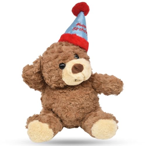 GVMJHYK Teddy Plüschtier,Teddy mit Kuchen und Hat, Nette Plüsch Spielzeug Niedliche Kuscheltier Plüschbär für Mädchen Jungen Kinder Partei Weihnachten Geburtstag 38CM (Birthday hat) von GVMJHYK