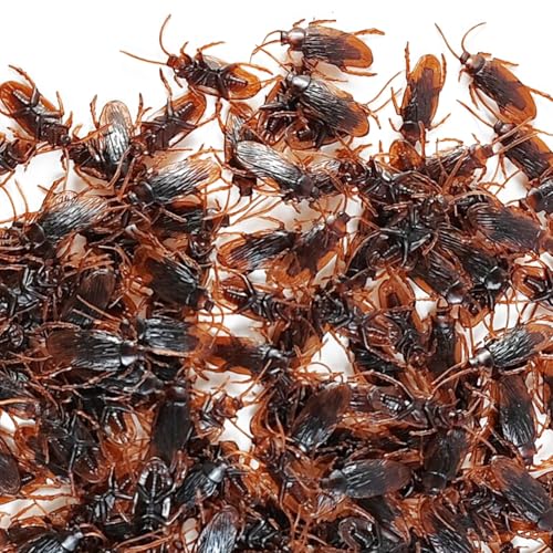 GXXMEI Künstliche Kakerlaken, lebensecht, 4,5 cm, 100 Stück von GXXMEI