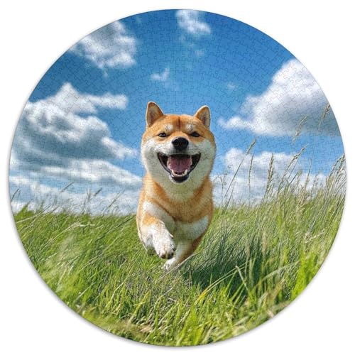 Akita Hund Puzzle 1000 Teile Tier Rundes Puzzle Für Erwachsene Pädagogisches Stressabbau-Spielzeug Für Erwachsene 14+ 1000pcs (67.5x67.5cm) von GXYUAOIEF