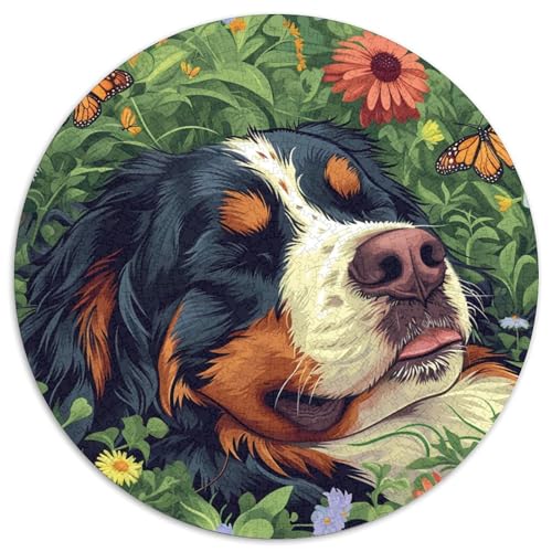 Bernese Mountain Hund Puzzle 1000 Teile Tier Plant Rundes Puzzle Für Erwachsene Pädagogisches Stressabbau-Spielzeug Für Erwachsene Kinder 1000pcs (67.5x67.5cm) von GXYUAOIEF
