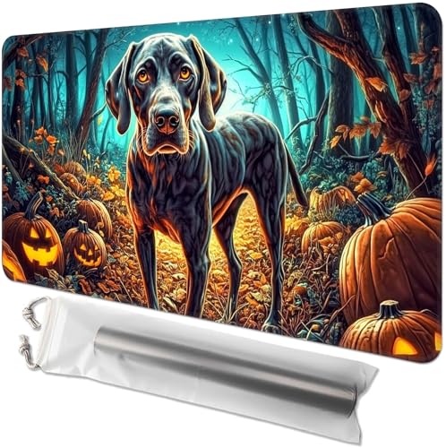 Kartenspiel-Playmat für MTG & TCG, 61.0x35.6 cm rutschfeste magische Spielmatte, strapazierfähige Gummi-Oberfläche, ideal für Kartenspiele & Brettspiele, tragbar mit Aufbewahrungstasche, Deutsch Kartenspiel-Playmat für MTG & TCG, 61.0x35.6 cm rutschfeste magische Spielmatte, strapazierfähige Gummi-Oberfläche, ideal für Kartenspiele & Brettspiele, tragbar mit Aufbewahrungstasche, Deutsch von GYSYZJDH