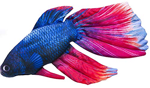 Gaby DER SIAMESISCHE KAMPFFISCH 53cm Kuscheltier Stofftier Fisch Polyester von Gaby